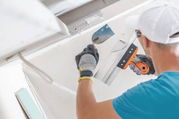 Trusted Westmont, CA Mold Removal Experts